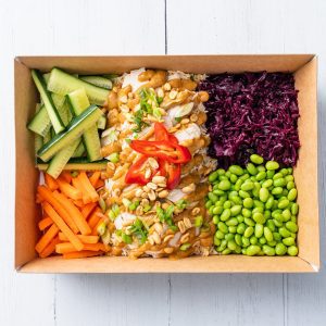 Satay Chicken and Coconut Lime Salad
