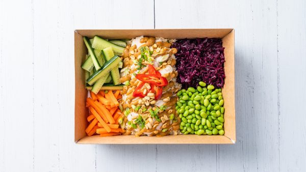 Satay Chicken and Coconut Lime Salad
