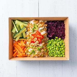 Satay Chicken and Coconut Lime Salad