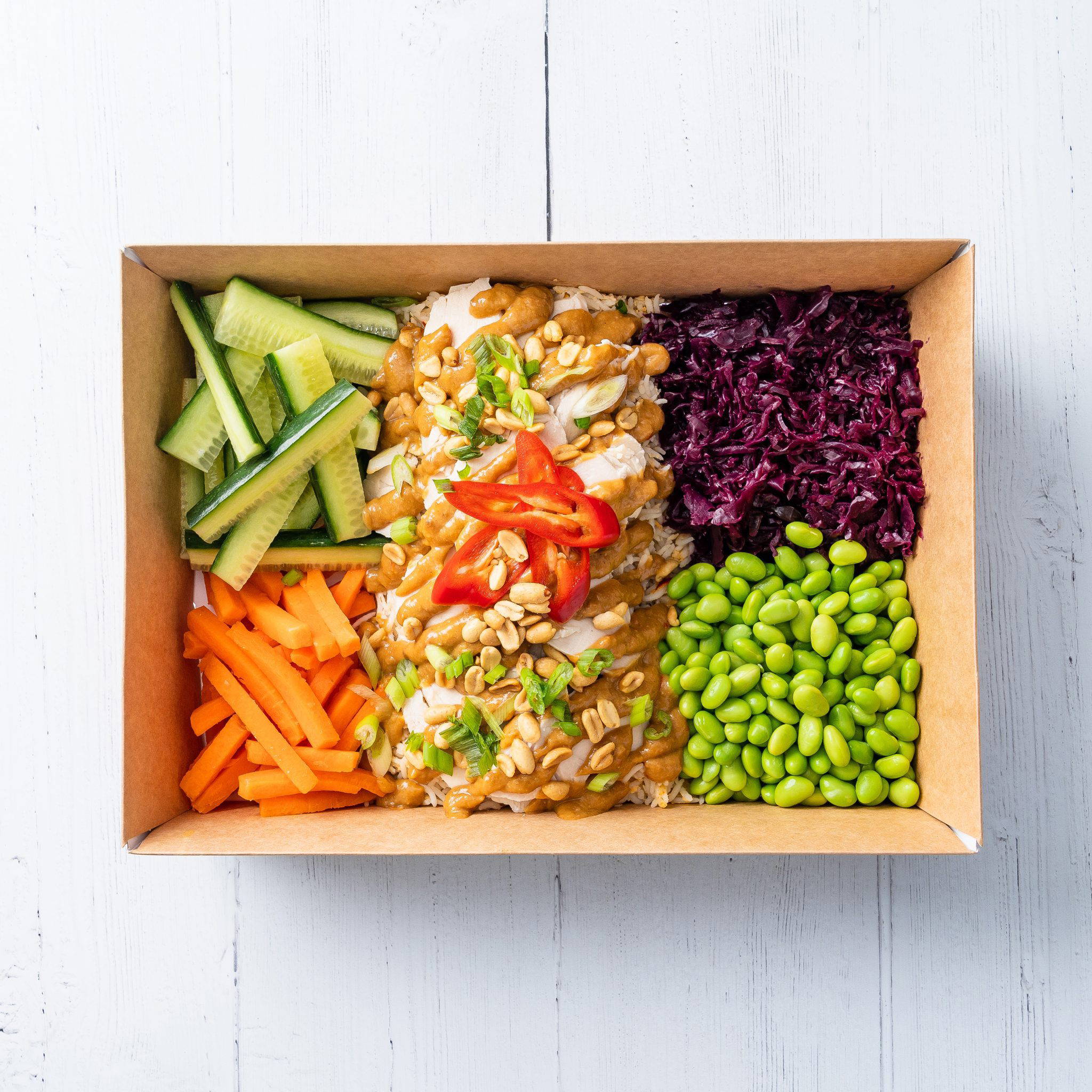 Satay Chicken and Coconut Lime Salad